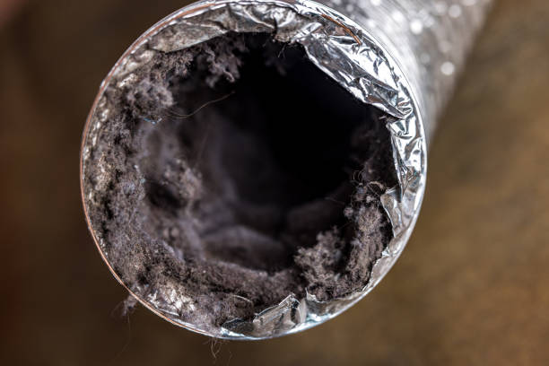 Best HVAC System Cleaning  in Fairfield Harbour, NC
